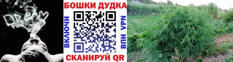 Где можно купить наркотики Новоаннинский Псилоцибиновые грибы  Гашиш  АМФ  МАРИХУАНА  Вейп ТГК  А ПВП 