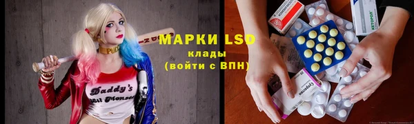 индика Гусь-Хрустальный