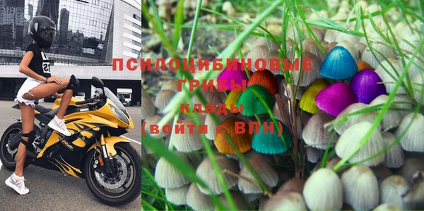 круглые Абаза